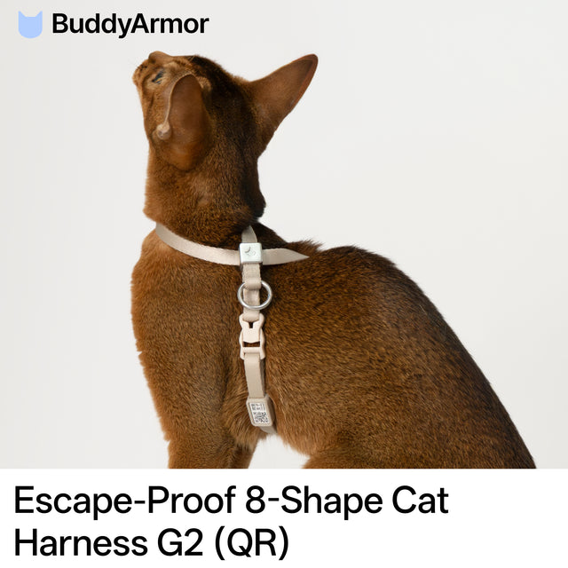 Escape-Proof Harness (8-Shape Gen 2)