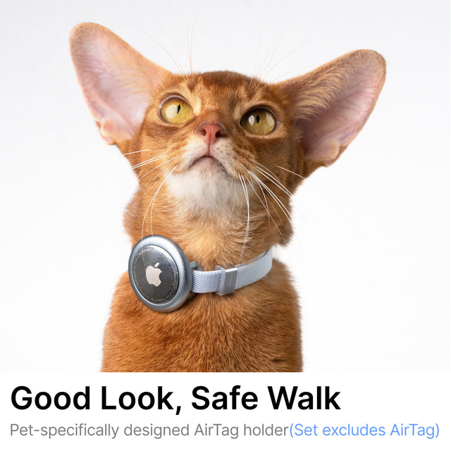 Anti-Lost AirTag Holder