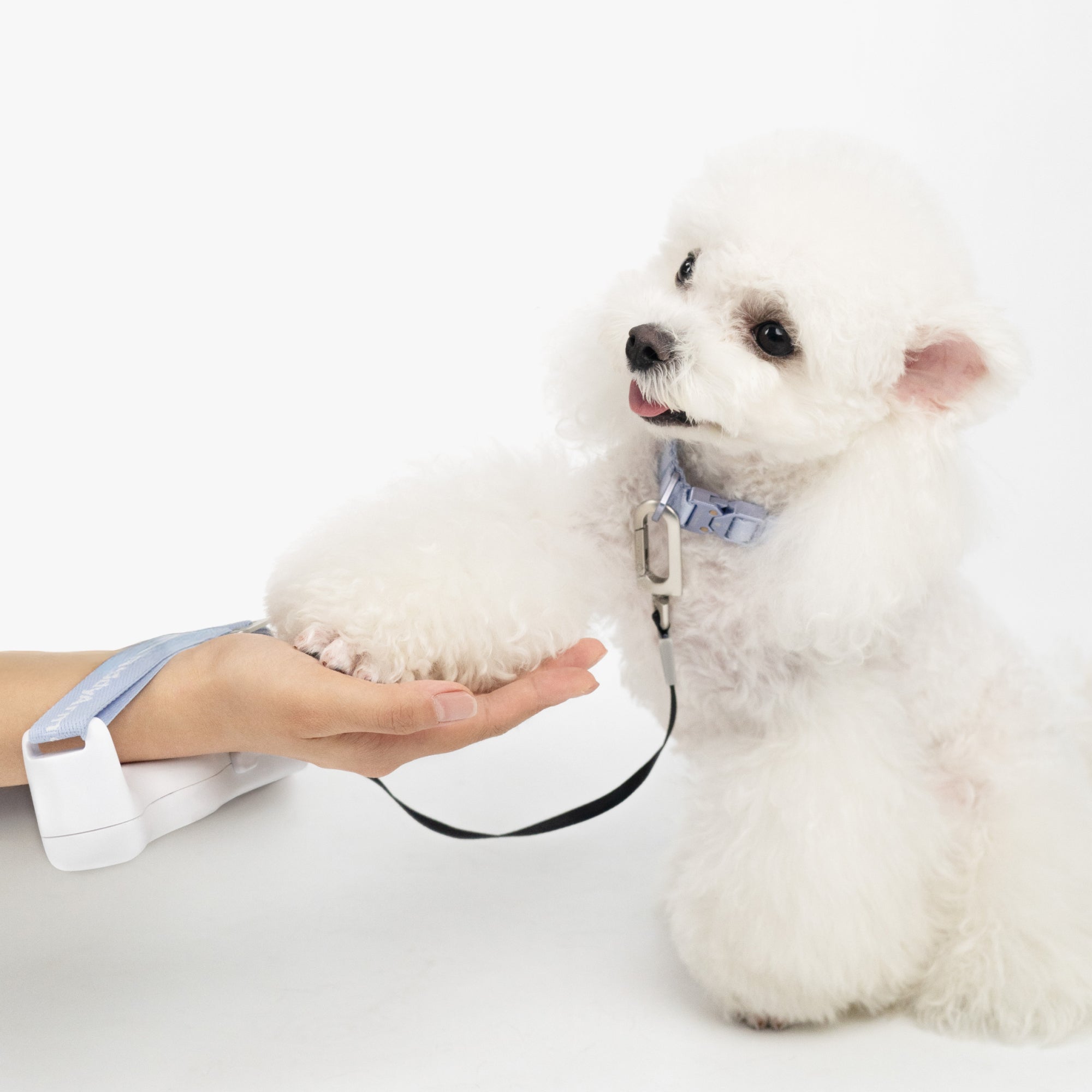 Hands-Free Retractable Leash