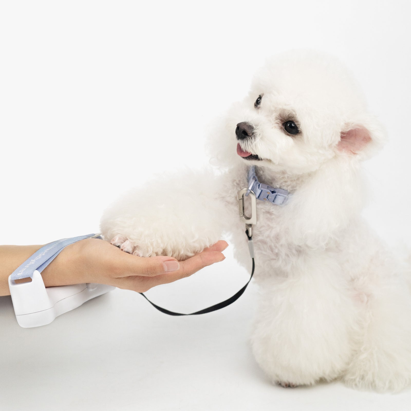 Hands-Free Retractable Leash