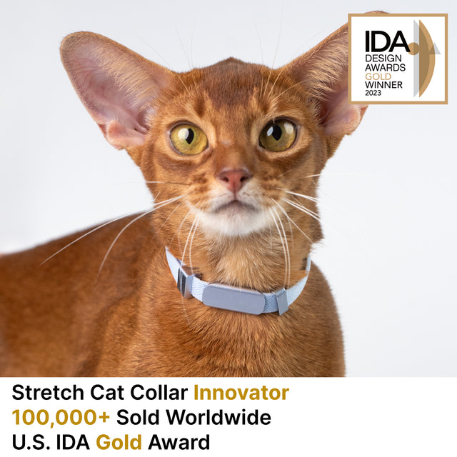 Horizon Tag + Safety Cat Collar Pro