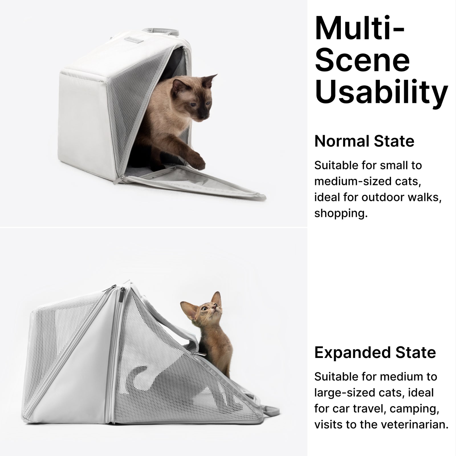 Sense-Security Cat Carrier (Cyber)