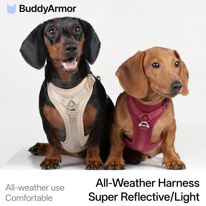 All-Weather Harness (Light)