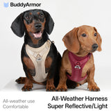 All-Weather Harness (Light)