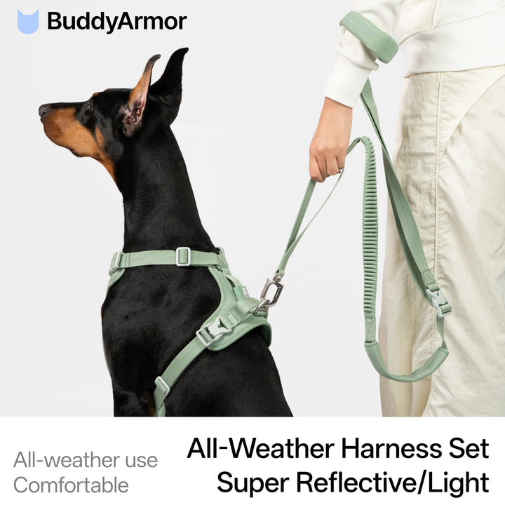 All-Weather Harness (Super Reflective)