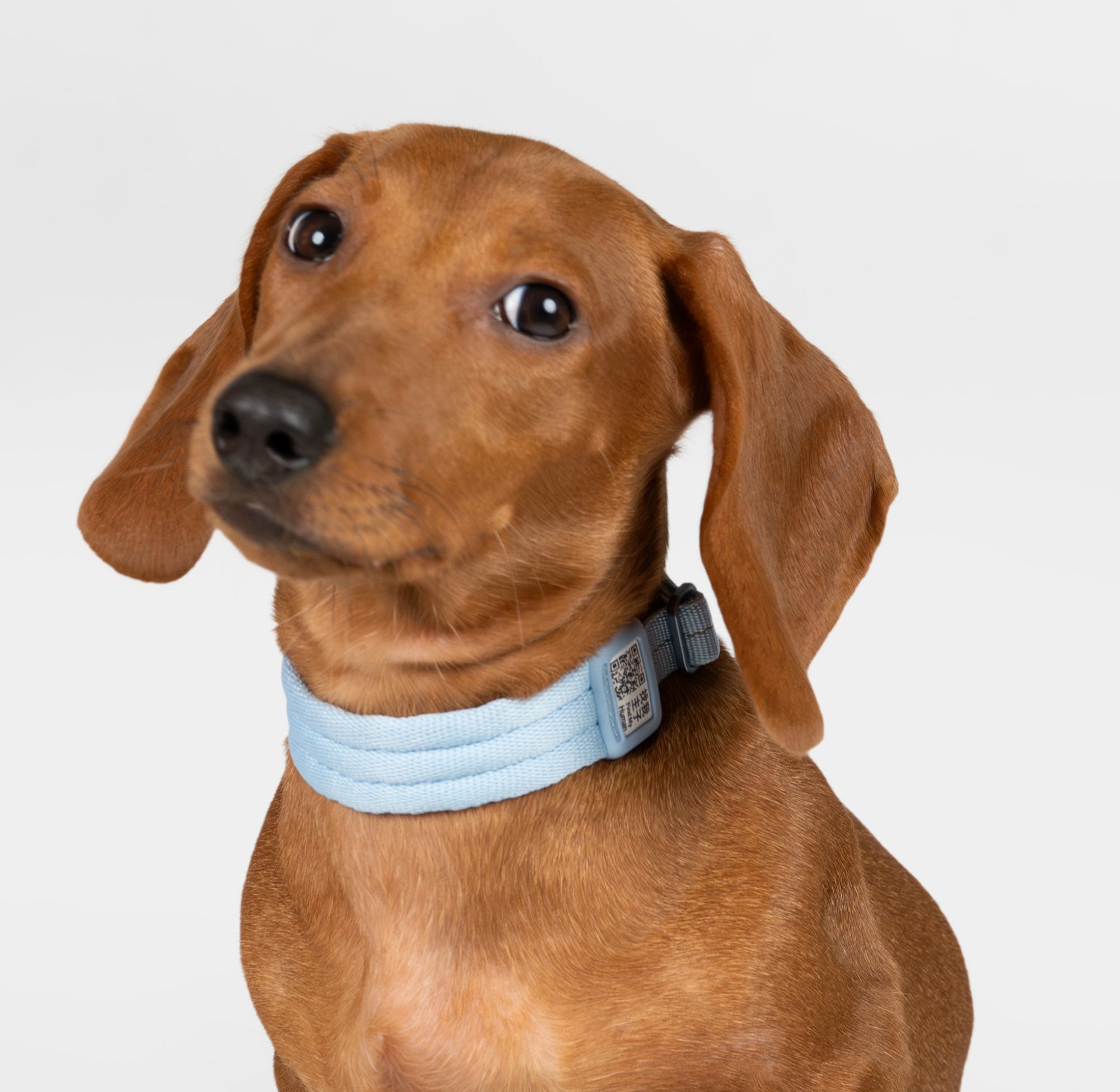 Ultra-Comfort Fluffy Collar (QR)