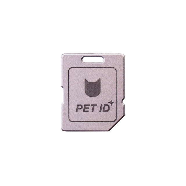 Anti-Lost QR Tag (Mini Card)