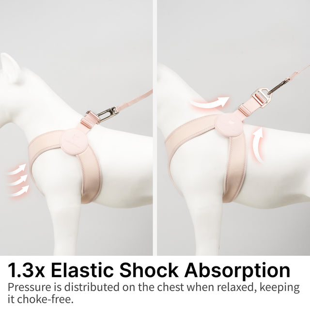 Ultra Comfortable Harness