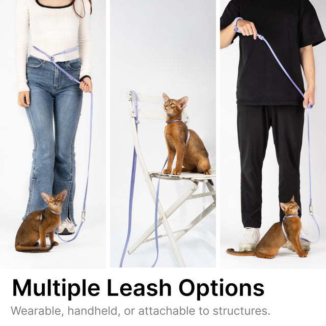 Lightweight Cat Leash