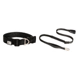 All-Weather Collar (Super Reflective)
