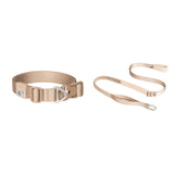 All-Weather Collar (Super Reflective)