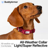 All-Weather Collar (Light)