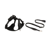 All-Weather Harness (Super Reflective)