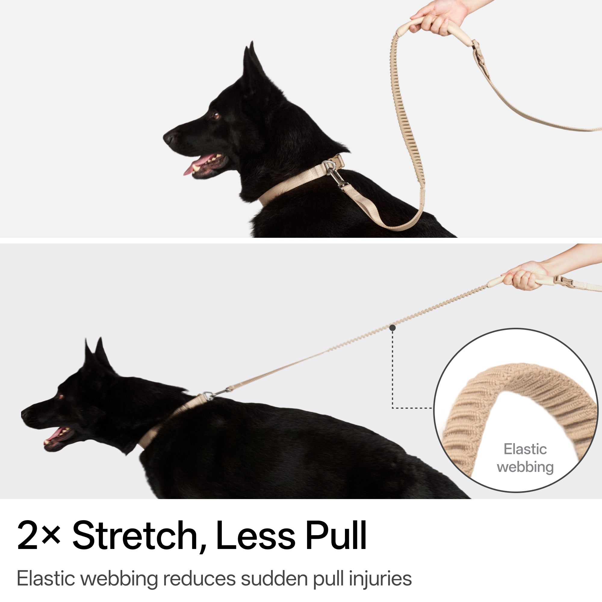 Hands-Free Leash (Super Reflective)