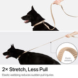 Hands-Free Leash (Super Reflective)