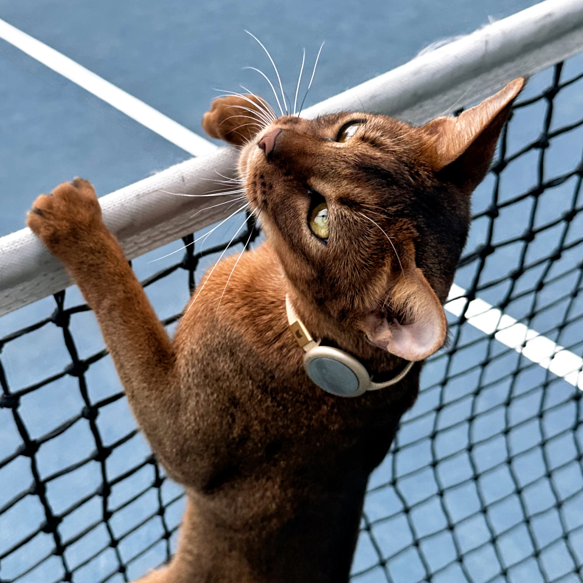 Minimal AirTag Holder