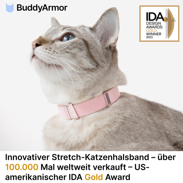 Anti-Chocking Cat Collar (Elastic Webbing)