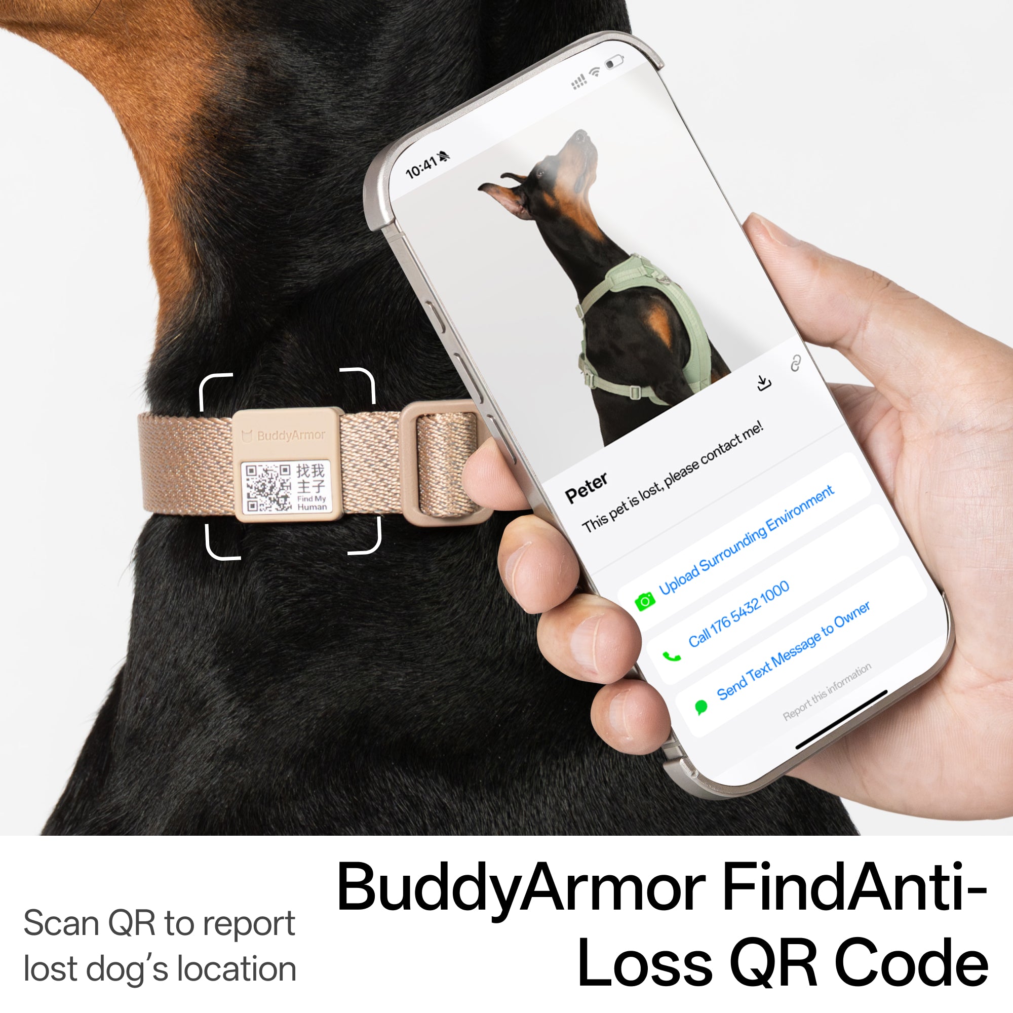 All-Weather Collar Leash SET