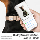 All-Weather Collar Leash SET