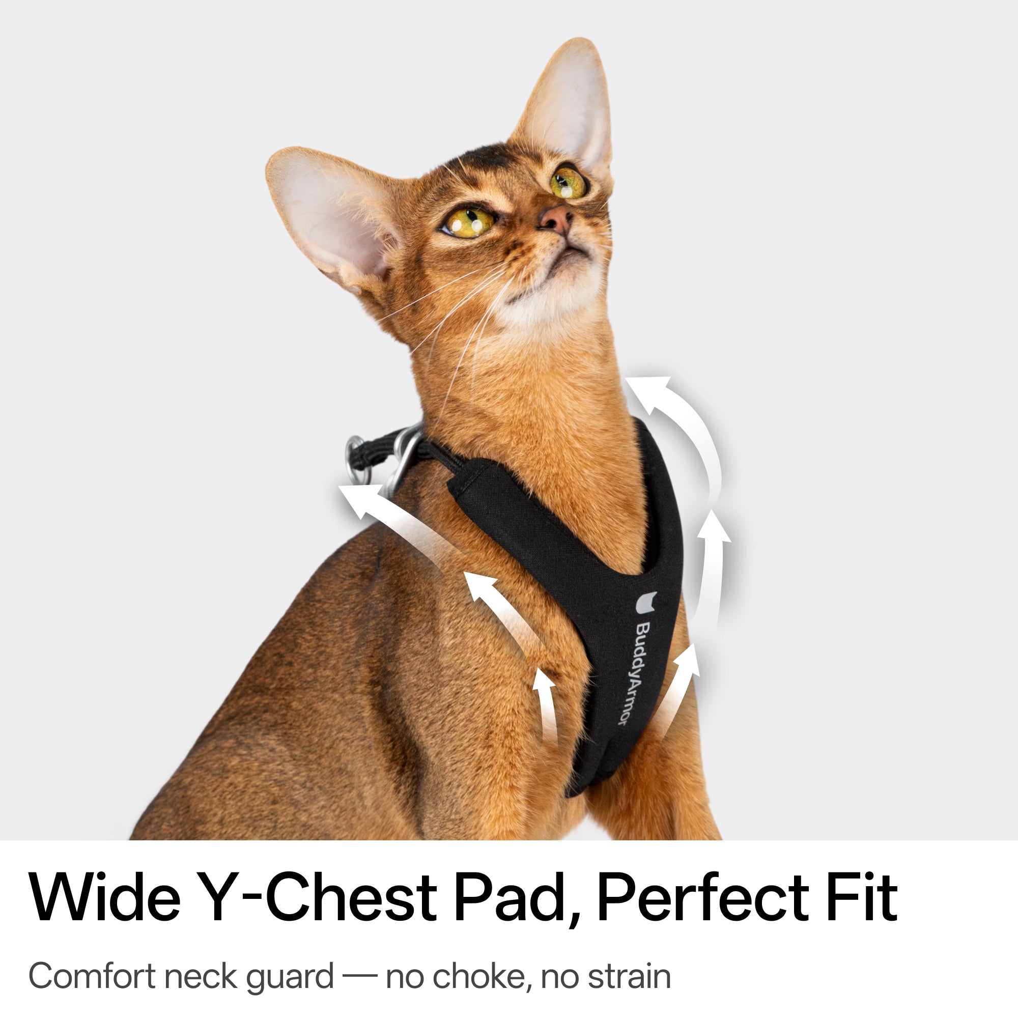 Escape-Proof Y-Shape Harness