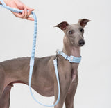 Ultra-Comfort Fluffy Collar (QR)