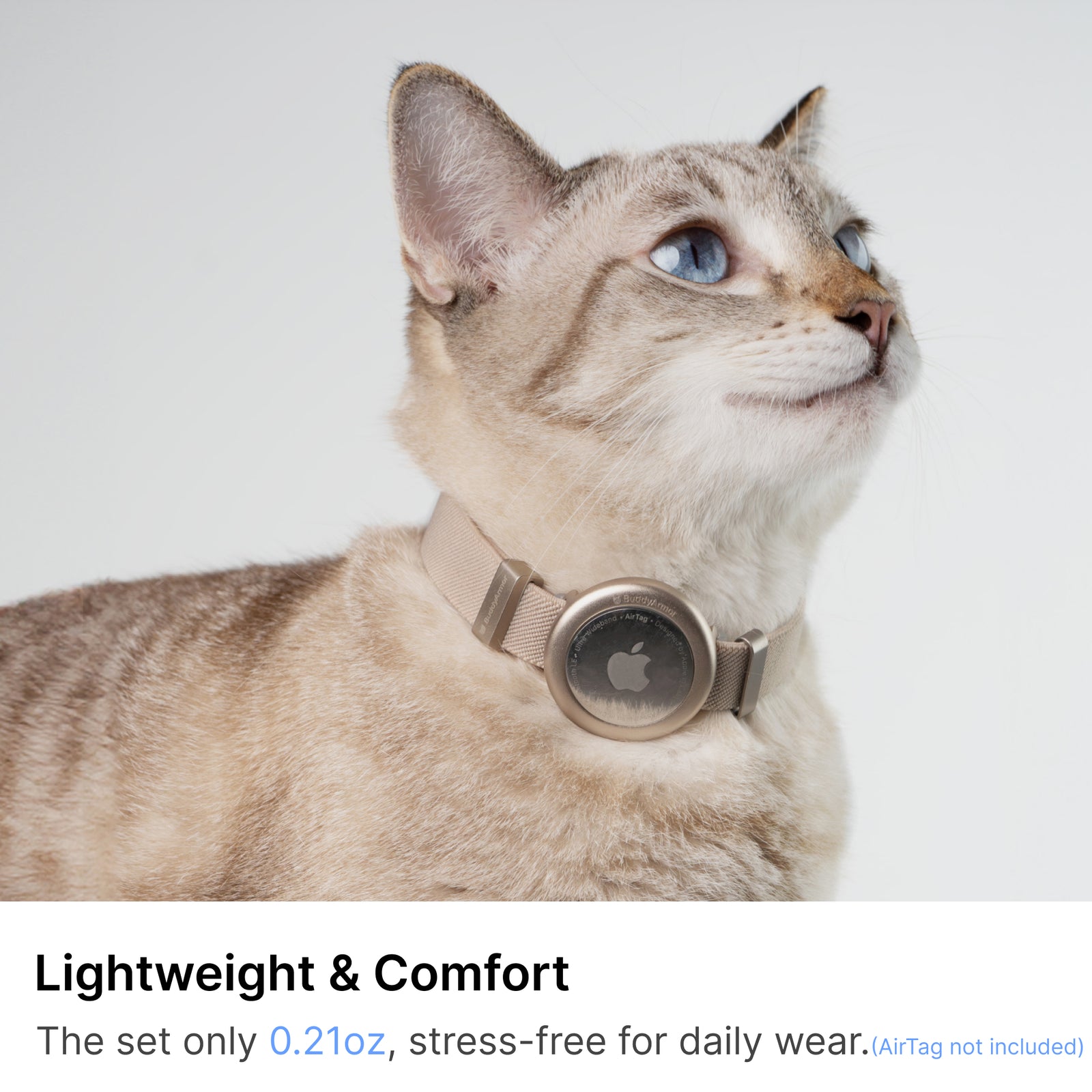 Anti-Lost AirTag Collar (Leather）