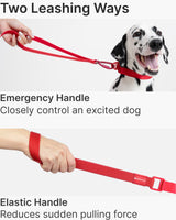 Light Alloy Leash