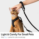 Hands-Free (Cord) Leash