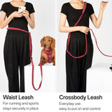 All-Weather Collar Leash SET