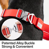 Light-Alloy Collar (Pro)