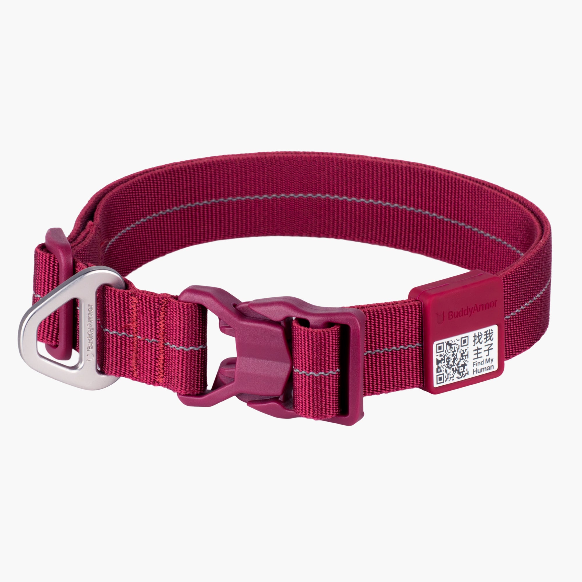 All-Weather Collar (Light)