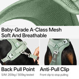 All-Weather Harness (Light)