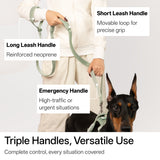 All-Weather Collar Leash SET