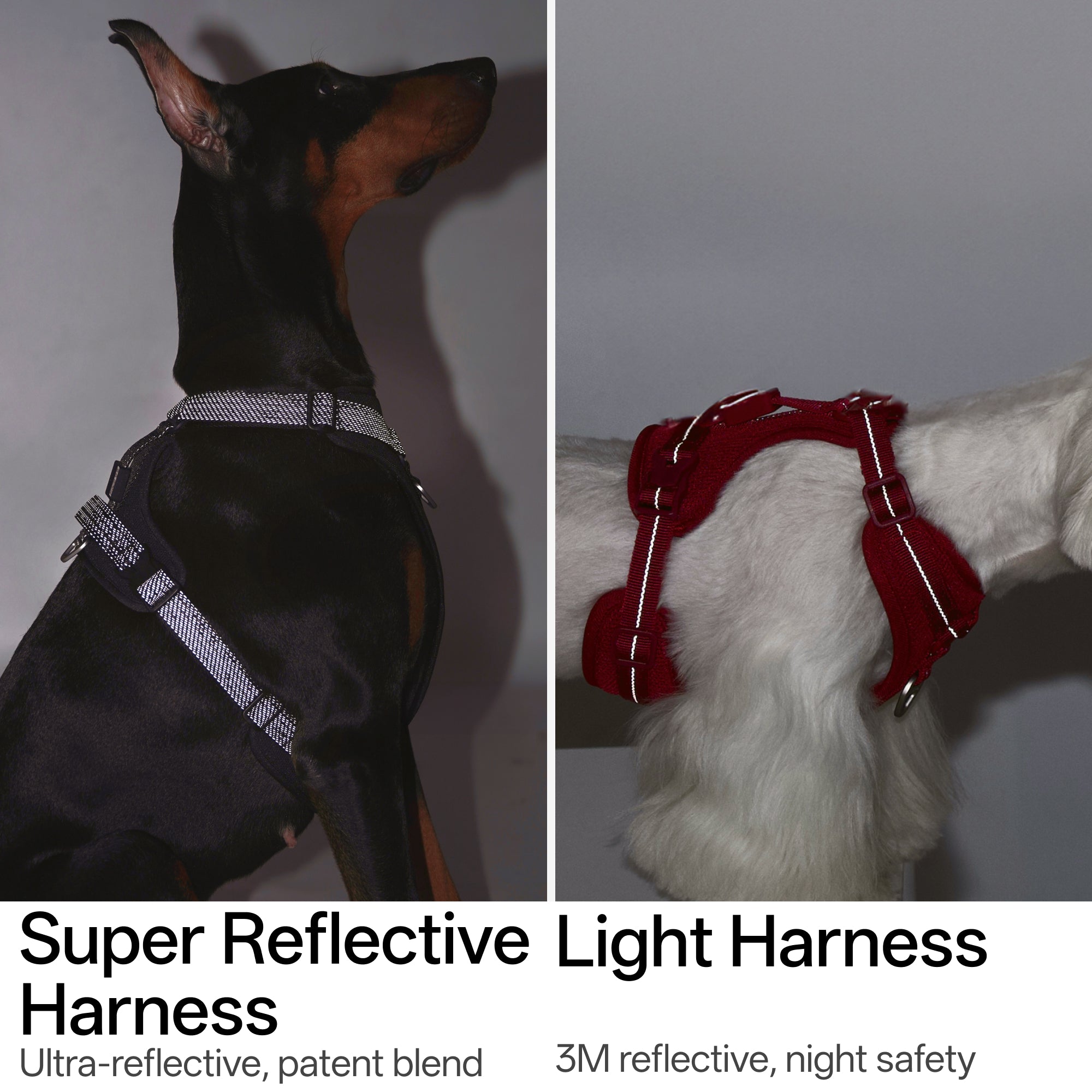 All-Weather Harness Leash SET