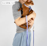Lightweight Cat Leash
