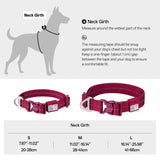All-Weather Collar (Light)