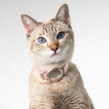 Anti-Lost AirTag Collar (Leather）