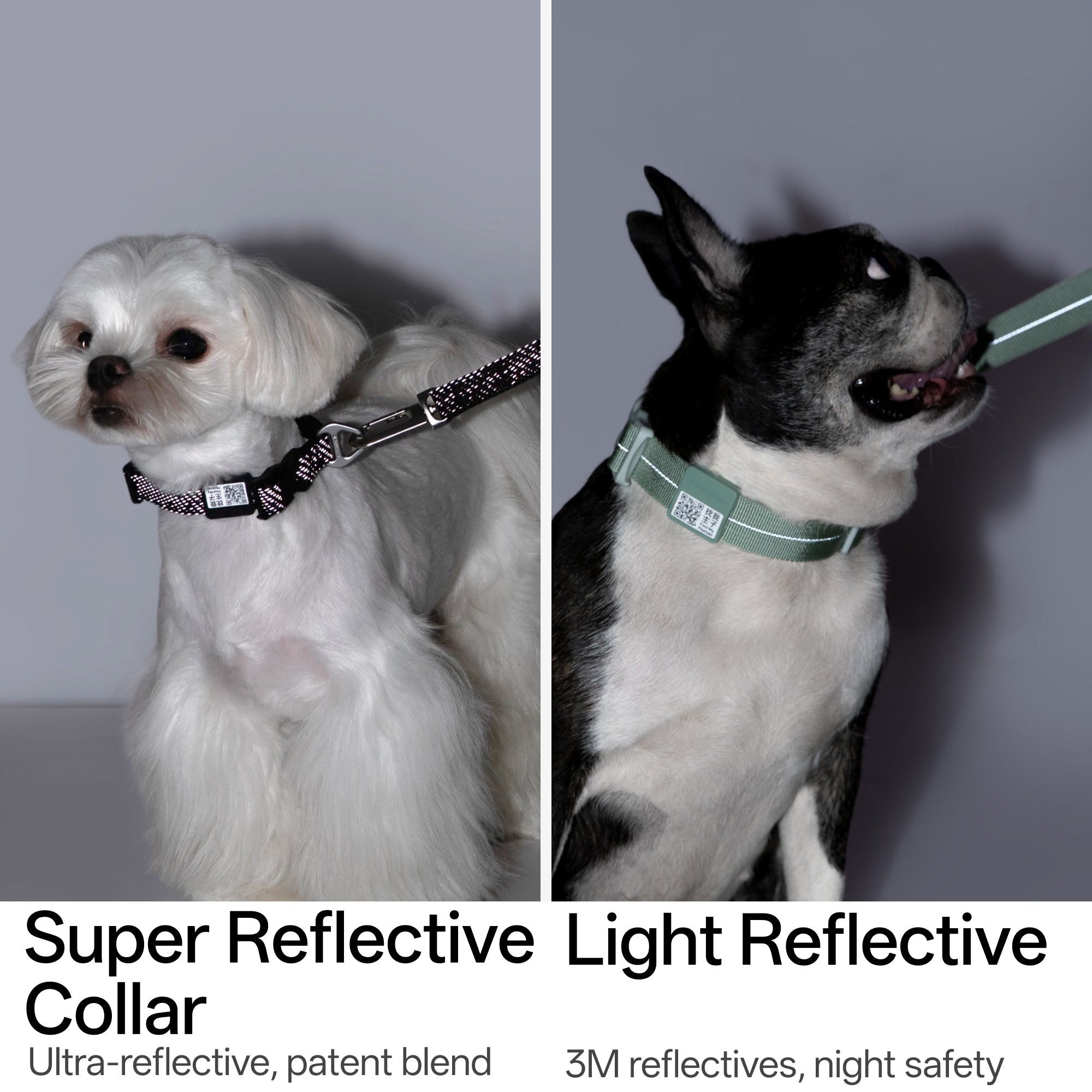All-Weather Collar Leash SET