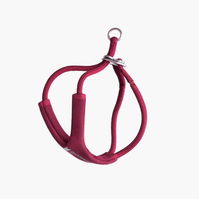 Escape-Proof Harness (Y-Shaped)