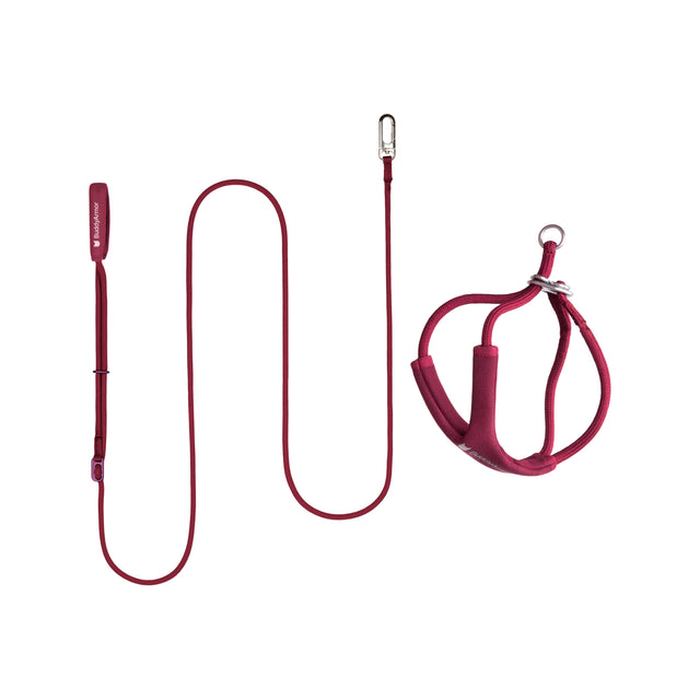 Escape-Proof Harness Leash SET