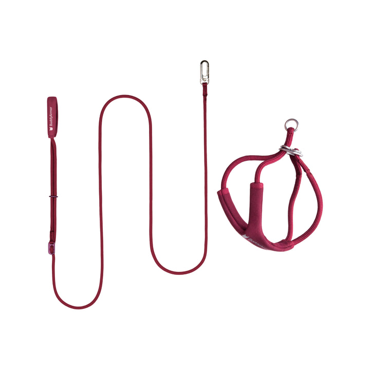 Escape-Proof Harness Leash SET