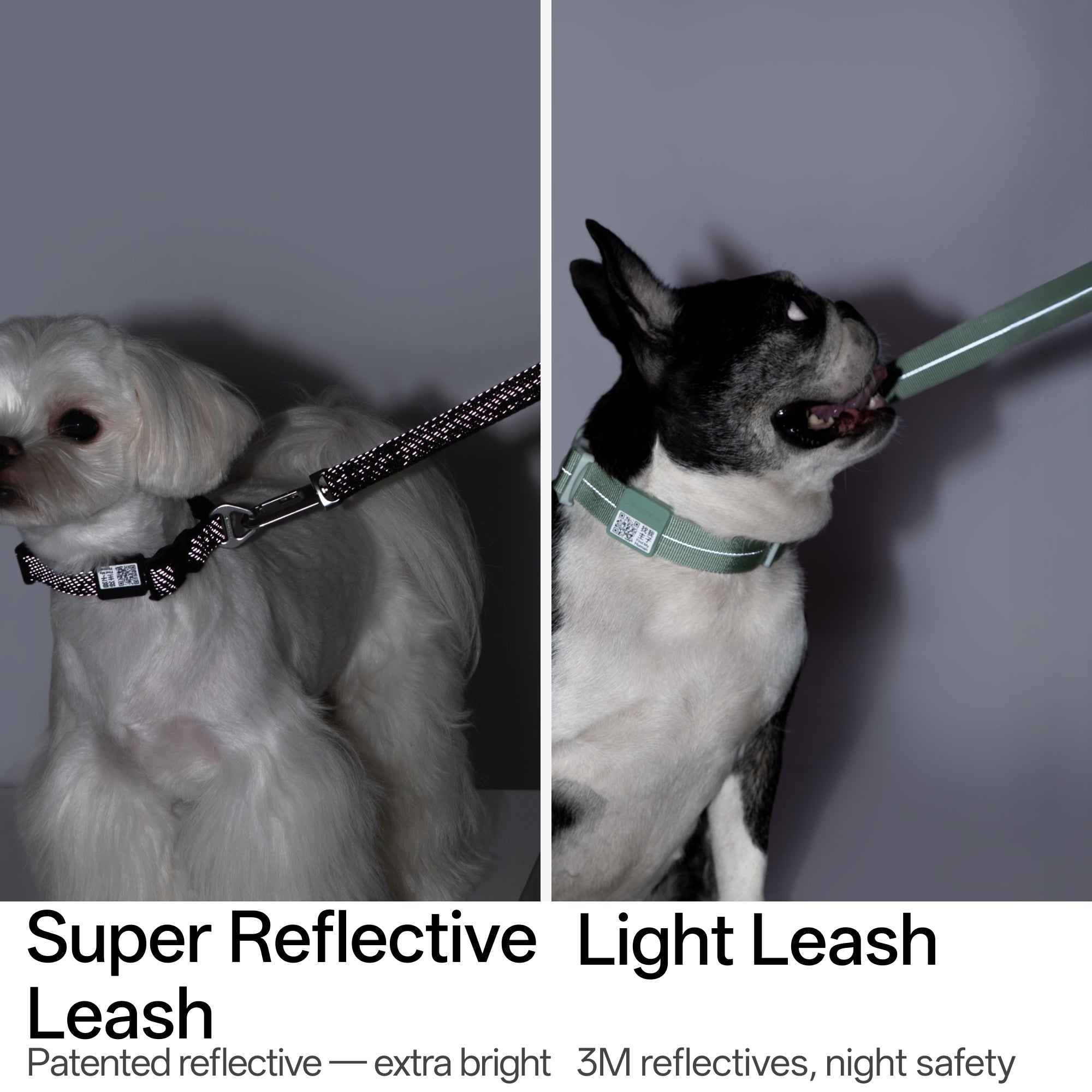 Hands-Free Leash (Super Reflective)