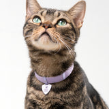 Anti-Lost QR Tag (Metal) Cat Collar KIT