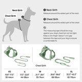 All-Weather Harness Leash SET