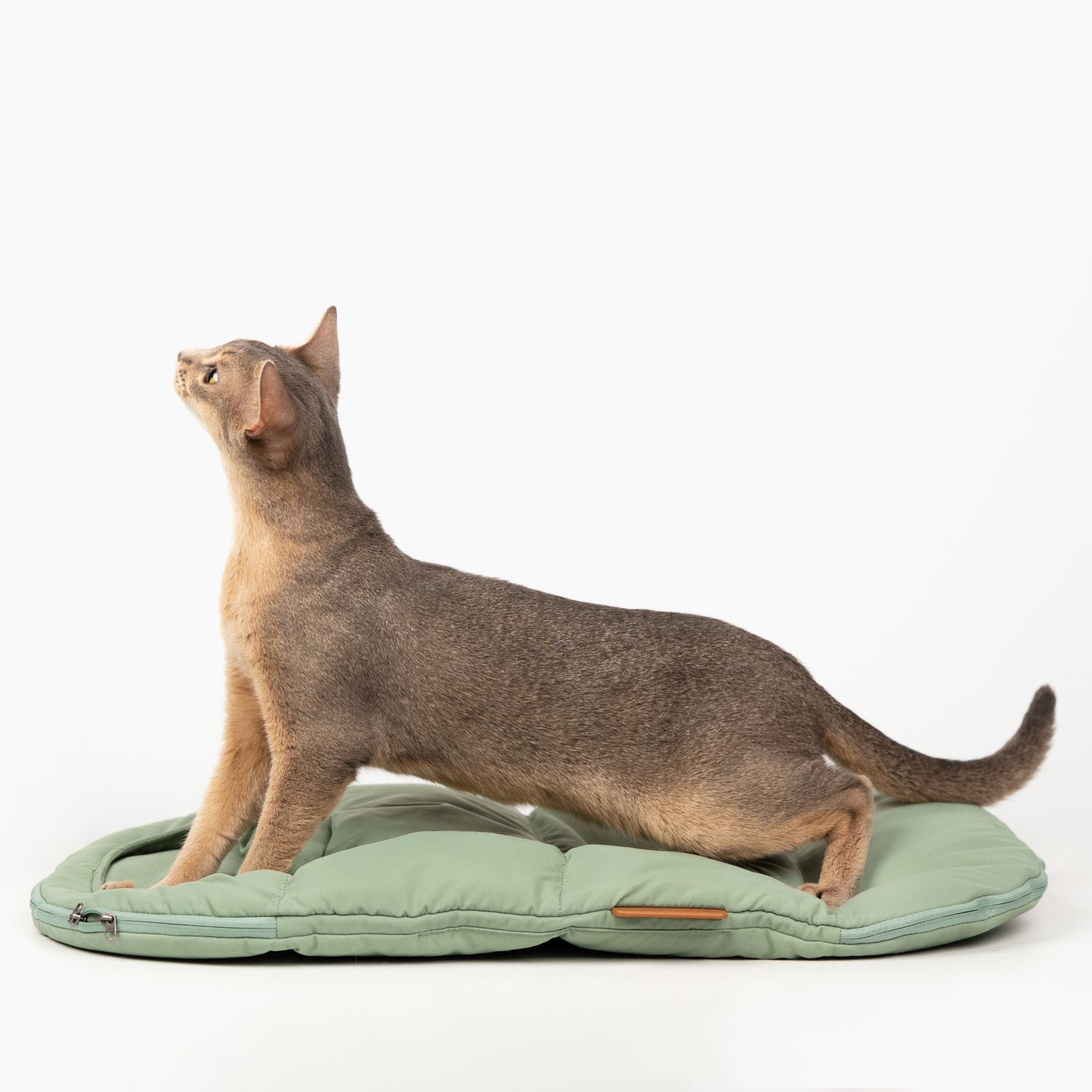Sense-Security Cat Sleeping Bag