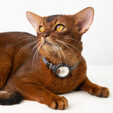 Anti-Lost AirTag Collar (Leather）