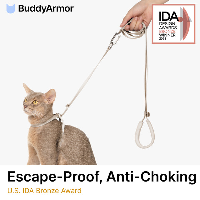 Lightweight Cat Leash + Escape-Proof Training Harness