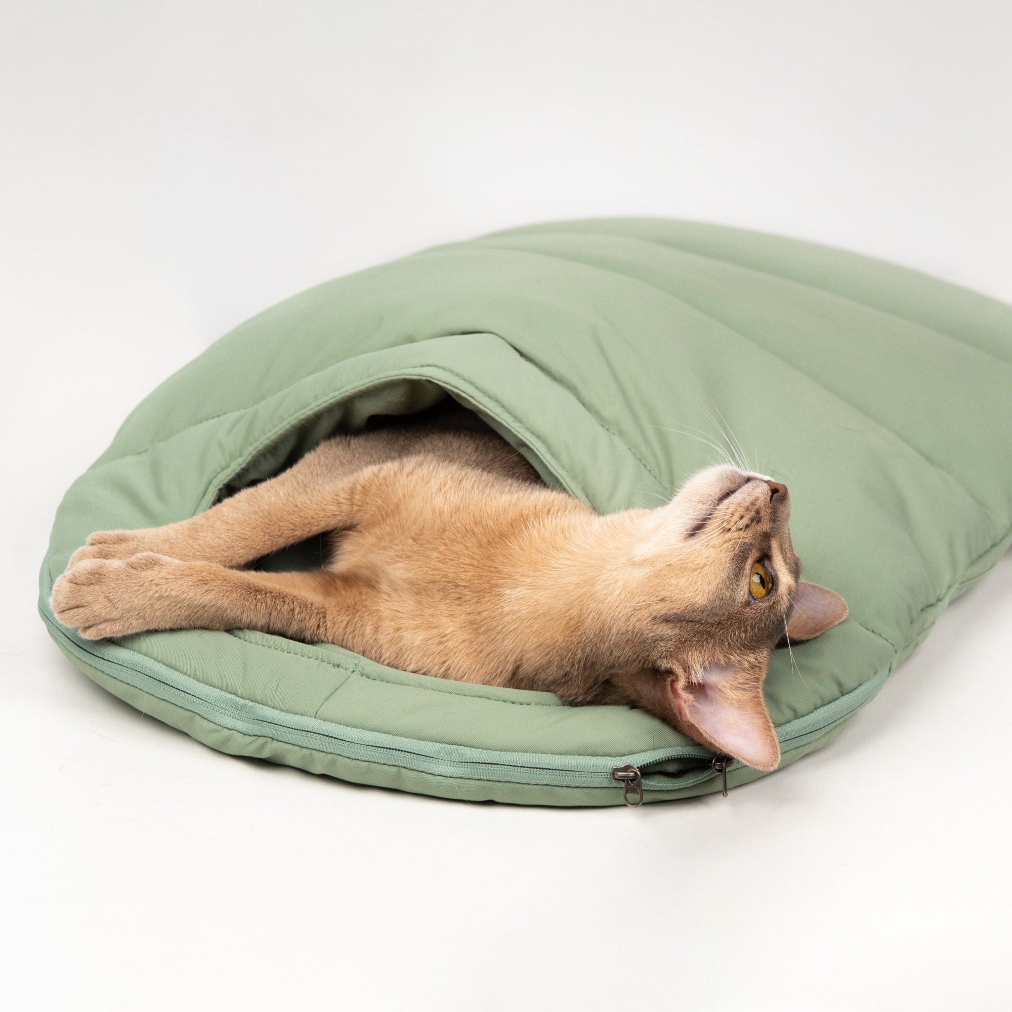 Cat Sleeping Bag