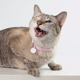 Anti-Choking Cat Collar (Elastic Webbing Pro)