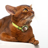 Anti-Lost AirTag Collar (Leather）